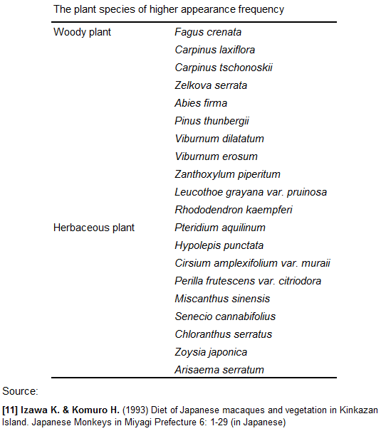 Vegetation